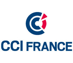 Logo de la CCI France